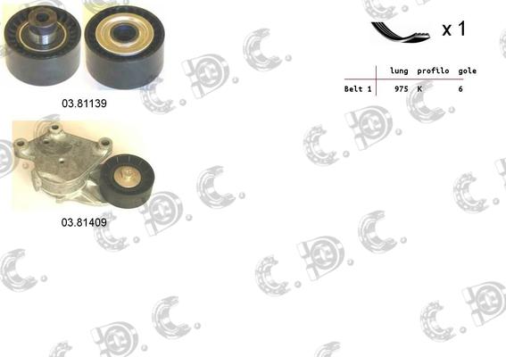 Autokit 06.0131 - V-Ribbed Belt Set autospares.lv