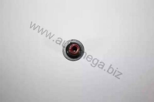 Automega 190048820 - Seal Ring, valve stem autospares.lv