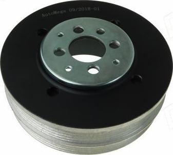 Automega 130041210 - Belt Pulley, crankshaft autospares.lv