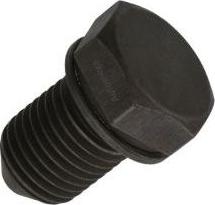 Automega 130016310 - Sealing Plug, oil sump autospares.lv