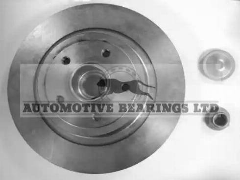 Automotive Bearings ABK1879 - Brake Disc autospares.lv