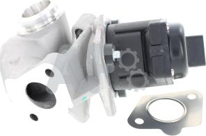 Automotor France PGR0002 - EGR Valve autospares.lv