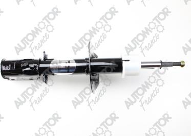 Automotor France PSG8824 - Shock Absorber autospares.lv