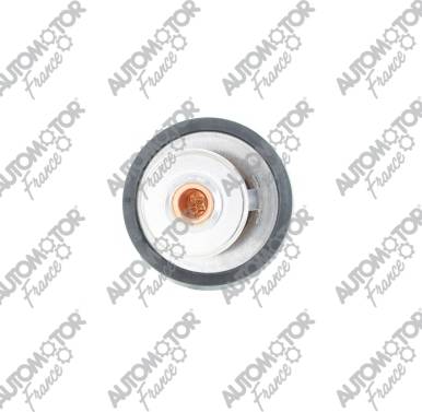 Automotor France PTH1033 - Coolant thermostat / housing autospares.lv