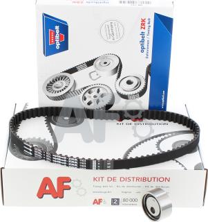 Automotor France PTK1061 - Timing Belt Set autospares.lv