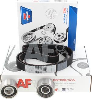 Automotor France PTK1011 - Timing Belt Set autospares.lv