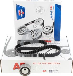 Automotor France PTK1117 - Timing Belt Set autospares.lv