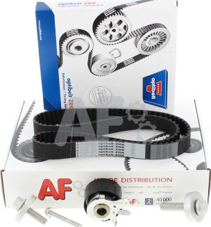 Automotor France PTK7028 - Timing Belt Set autospares.lv