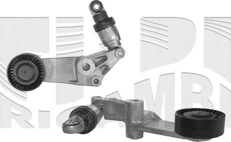 Autoteam A02436 - Belt Tensioner, v-ribbed belt autospares.lv