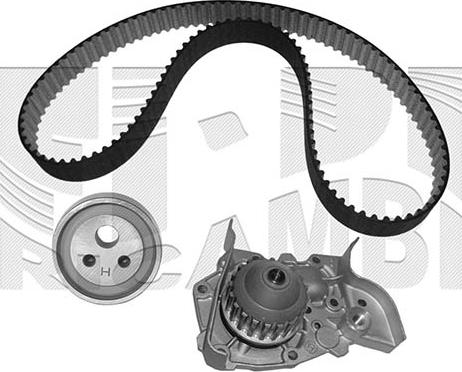 Autoteam KATW1079B - Water Pump & Timing Belt Set autospares.lv