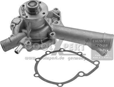 BBR Automotive 001-60-04365 - Water Pump autospares.lv