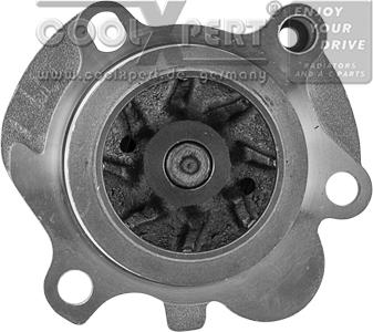 BBR Automotive 001-10-19263 - Water Pump autospares.lv