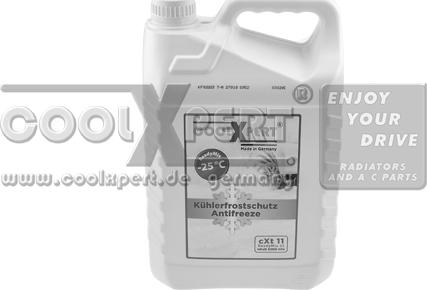 BBR Automotive 001-10-25604 - Antifreeze autospares.lv