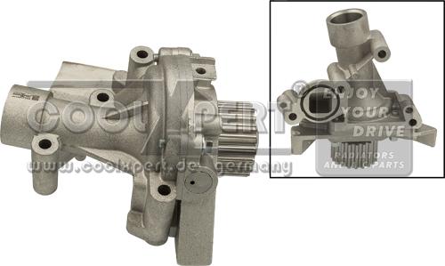 BBR Automotive 001-10-25046 - Water Pump autospares.lv