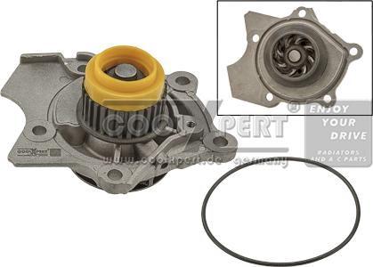 BBR Automotive 001-10-22873 - Water Pump autospares.lv