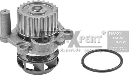 BBR Automotive 002-60-00161 - Water Pump autospares.lv