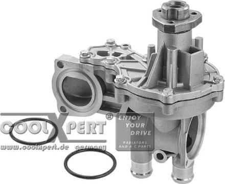 BBR Automotive 002-60-00163 - Water Pump autospares.lv