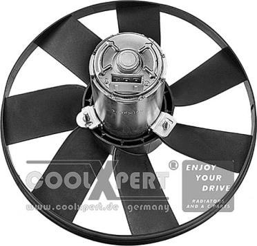 BBR Automotive 002-60-01989 - Fan, radiator autospares.lv