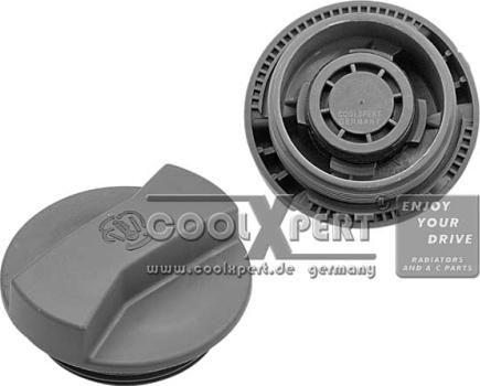 BBR Automotive 002-60-01041 - Sealing Cap, coolant tank autospares.lv