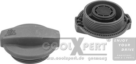 BBR Automotive 002-60-13457 - Sealing Cap, coolant tank autospares.lv