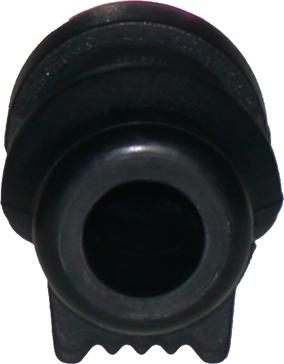 Birth 4516 - Bearing Bush, stabiliser autospares.lv