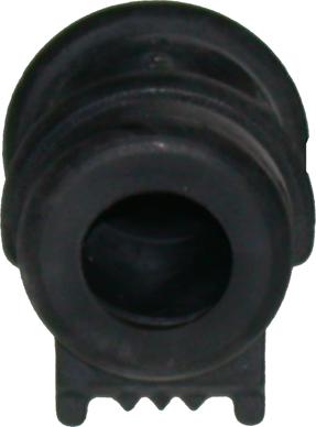 Birth 4205 - Bearing Bush, stabiliser autospares.lv