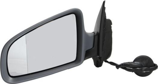 BLIC 5402-04-1155599 - Outside Mirror autospares.lv