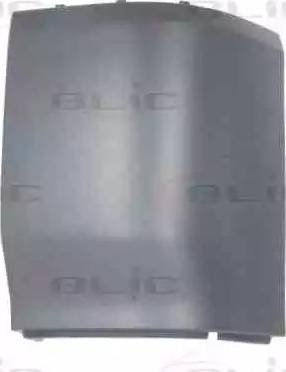 BLIC 5506-00-9568955P - Bumper autospares.lv