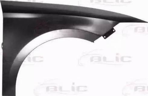 BLIC 6504-04-6614312P - Wing autospares.lv