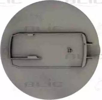 BLIC 6508022533510P - Hinge, fuel tank filler flap autospares.lv