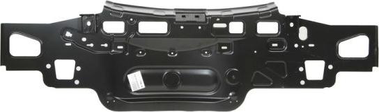 BLIC 6503-05-5024650P - Rear Panel autospares.lv