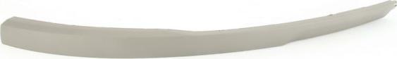 BLIC 6502-07-5024923P - Spoiler autospares.lv