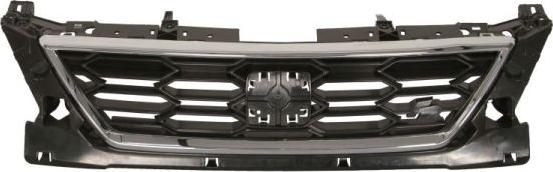 BLIC 6502-07-6619991P - Radiator Grille autospares.lv