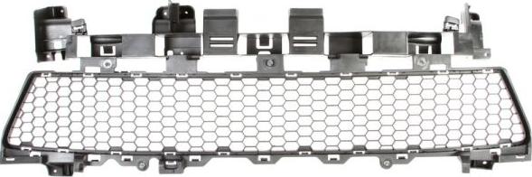 BLIC 6502-07-1303910P - Ventilation Grille, bumper autospares.lv