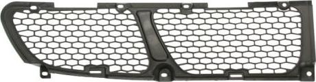 BLIC 6502-07-3191911P - Ventilation Grille, bumper autospares.lv