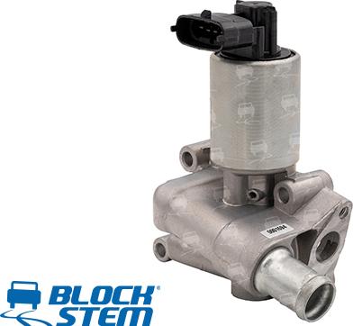 BlockStem EGR0047 - EGR Valve autospares.lv