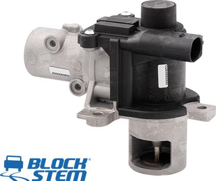 BlockStem EGR0018 - EGR Valve autospares.lv