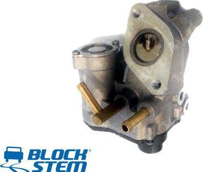 BlockStem EGR0177 - EGR Valve autospares.lv