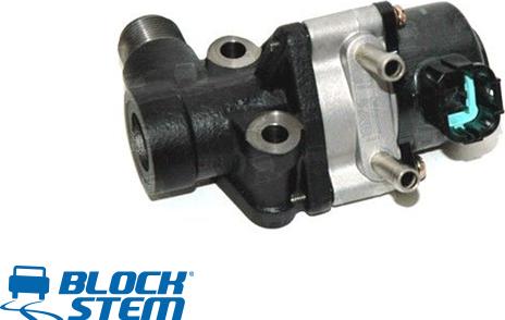 BlockStem EGR0230 - EGR Valve autospares.lv