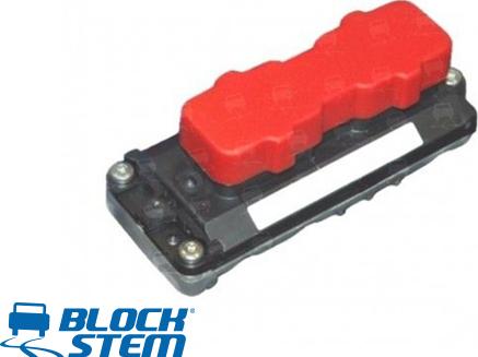 BlockStem IAW0001R - Control Unit, engine management autospares.lv