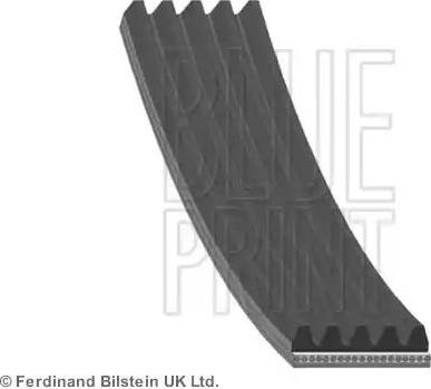 Blue Print AD05R775 - V-Ribbed Belt autospares.lv