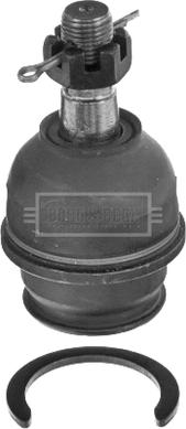 Borg & Beck BBJ5736 - Ball Joint autospares.lv