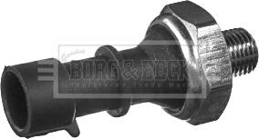 Borg & Beck BOP1010 - Sender Unit, oil pressure autospares.lv