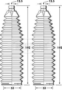 Borg & Beck BSG3408 - Bellow Set, steering autospares.lv