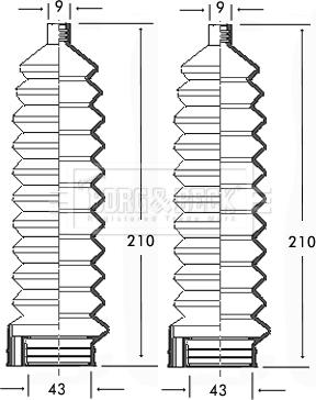 Borg & Beck BSG3105 - Bellow Set, steering autospares.lv