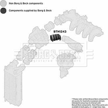 Borg & Beck BTH1243 - Charger Intake Air Hose autospares.lv