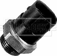 Borg & Beck BTS923.90 - Temperature Switch, radiator / air conditioner fan autospares.lv