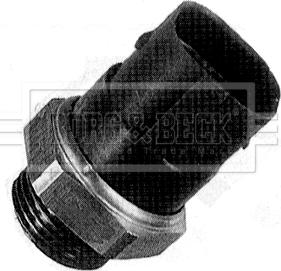 Borg & Beck BTS894.95 - Temperature Switch, radiator / air conditioner fan autospares.lv