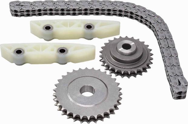 BorgWarner (AWD) 59007150004 - Timing Chain Kit autospares.lv