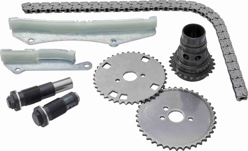 BorgWarner (AWD) 59007150005 - Timing Chain Kit autospares.lv